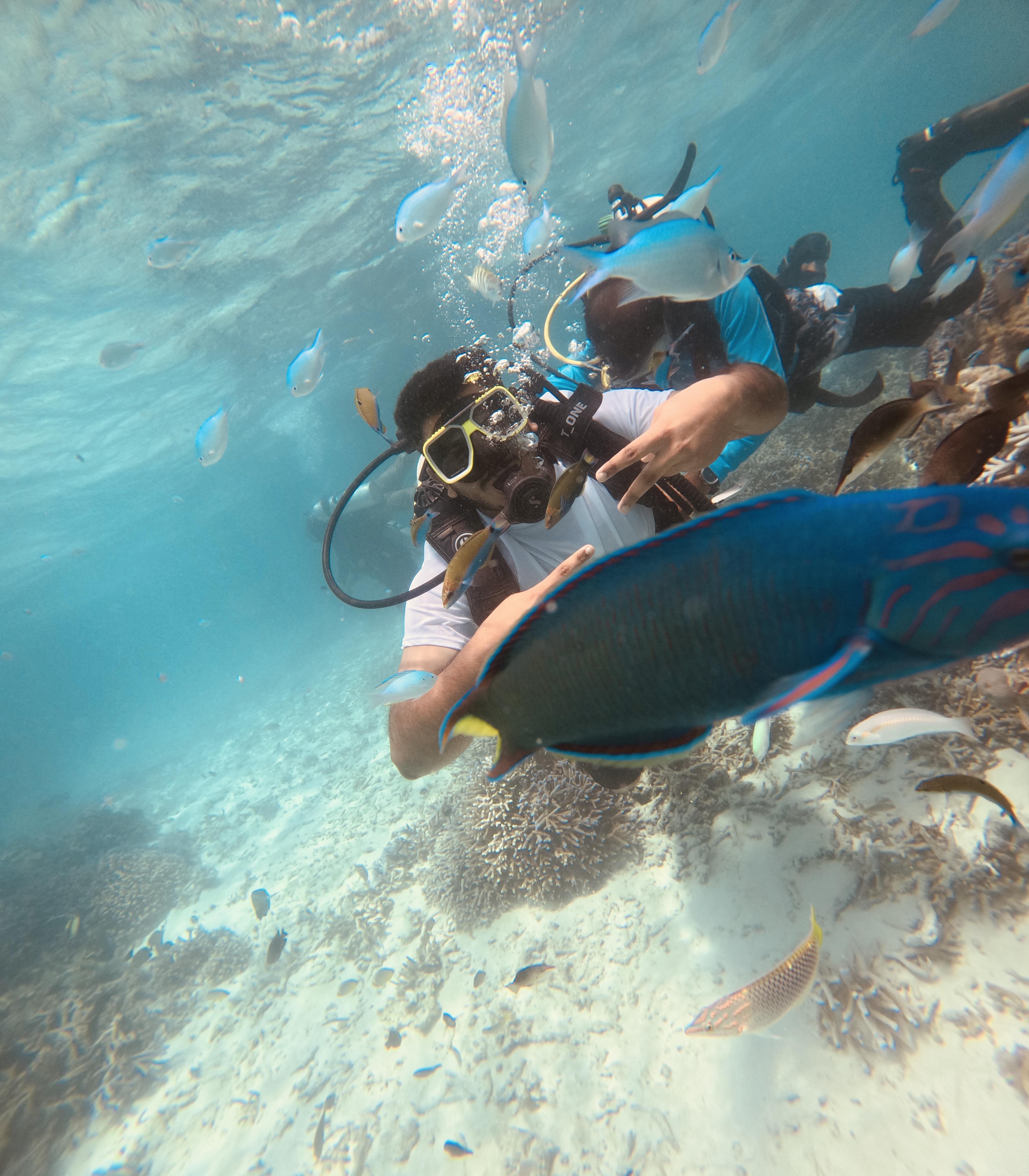 Snorkeling & Scuba Diving