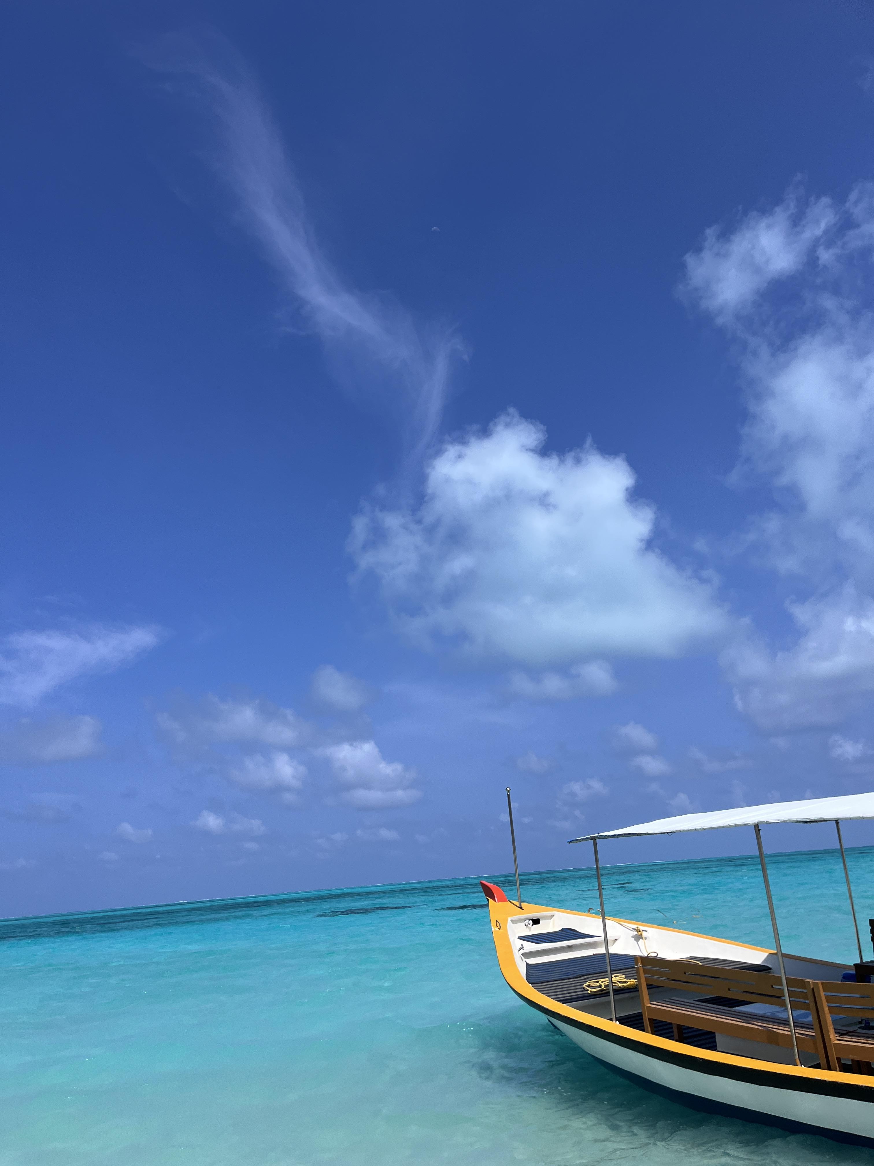360 Sightseeing Tour